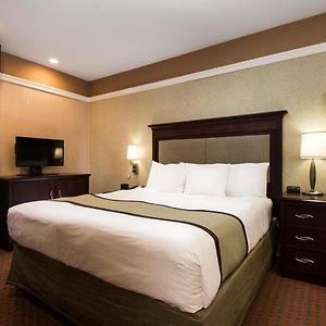 1 King Bed Non Smoking